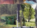 forest murmurs-web