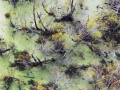 private-critique-into-public-grief-diptych-right-web