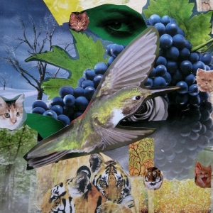 collage11