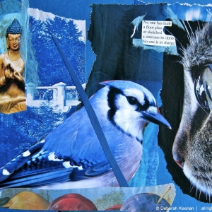 collage60