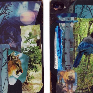 dividing-the-woods-diptych-web