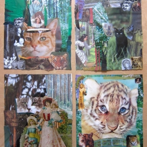 collage1