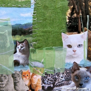 collage30