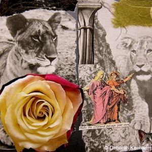 collage40