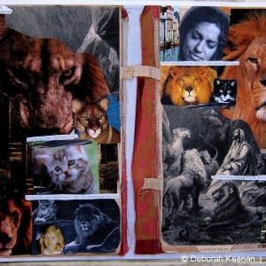 collage44