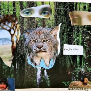 collage58