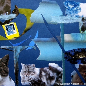 collage59
