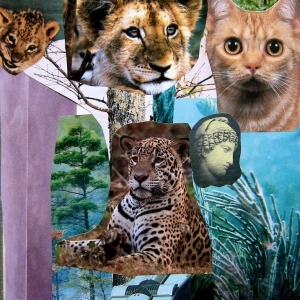 collage73
