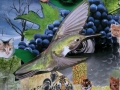 collage11