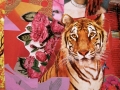 collage13