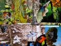 collage21