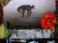 collage22