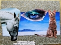 collage27