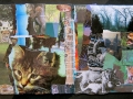 collage3