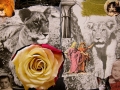 collage40