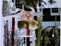 collage48