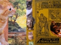 collage8