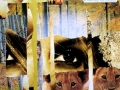 collage9