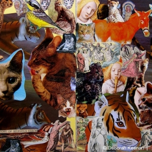 collage17