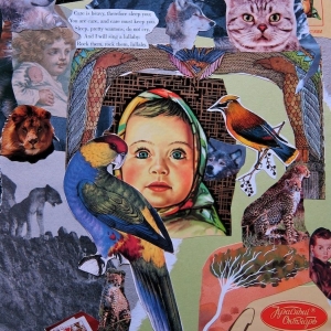 collage23