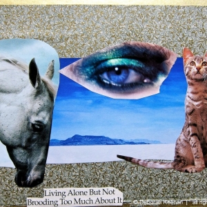 collage27