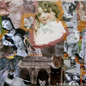 collage43