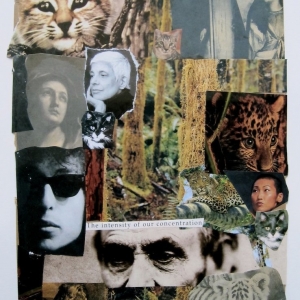collage5