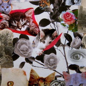 collage52