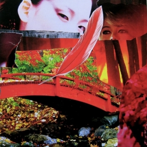 collage61