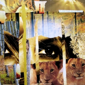 collage9