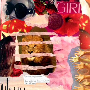 DK2collage11