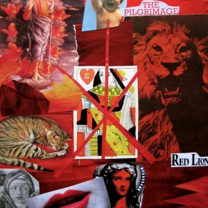 collage10