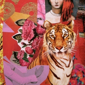collage13