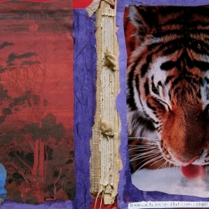 collage16