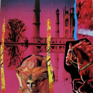 collage47