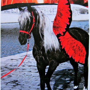 collage50