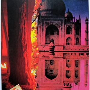 collage51