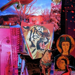 collage53